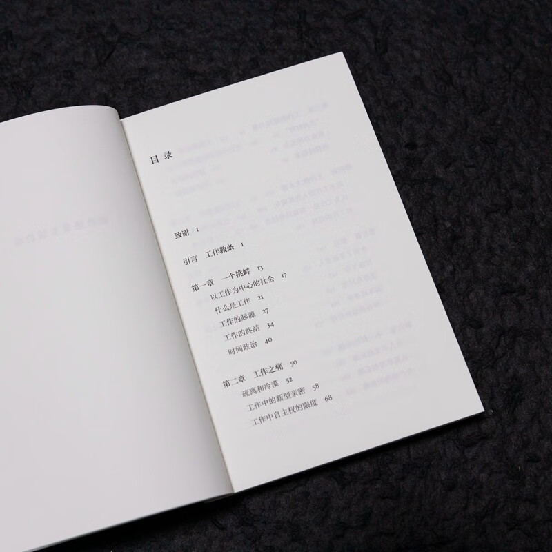 Say no to work (it’s time to challenge the centrality of work! In a work-centered society, staying sane may be a form of madness)