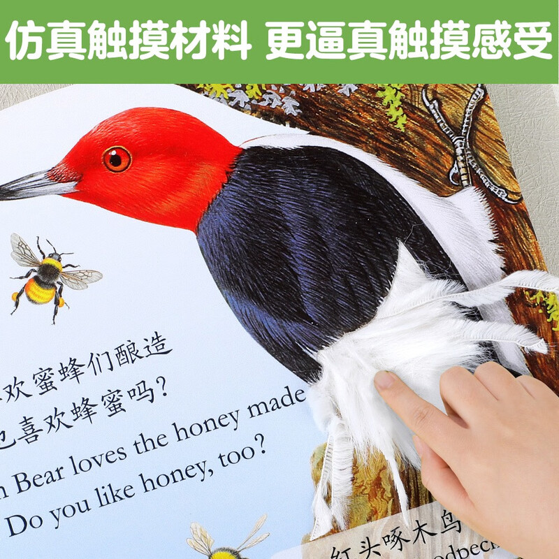 Bright and exquisite touch book, Poppy the Bear, enlightenment simulation touch book for 0-2 years old children, fun children's book, cognitive picture book for young children, extracurricular book money-saving card