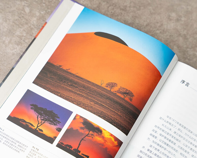 Beautiful Earth National Parks (56 national parks around the world, creating immersive paper documentaries) Book Festival Reading Festival Labor Day Includes China's top five national parks Selected 56 national parks around the world Travel and outdoor Parent-child reading Popular science encyclopedia