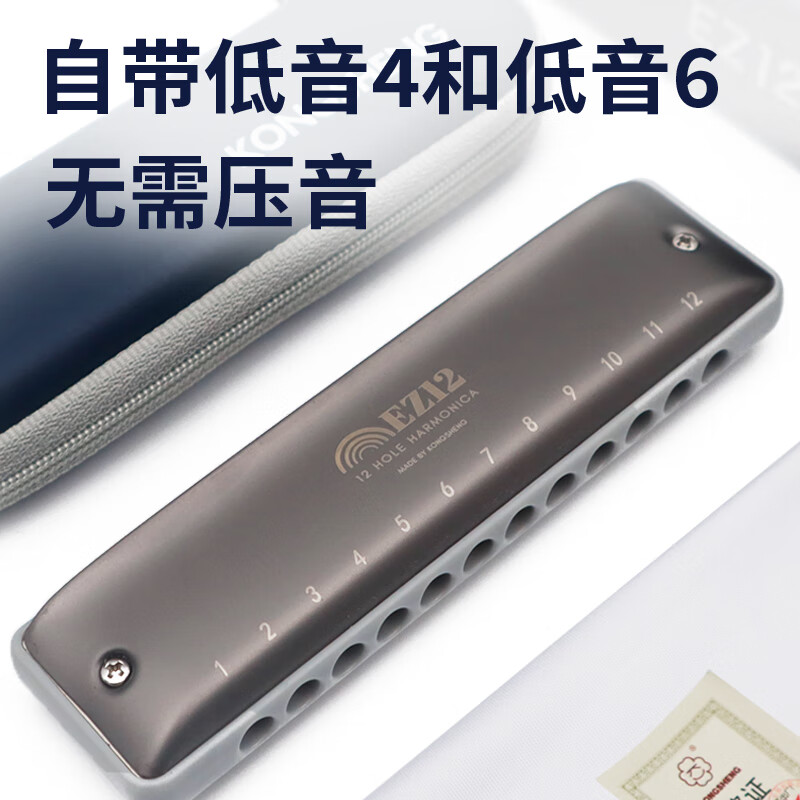 Kongsheng (KONGSHENG) 12-hole C-key diatonic blues harmonica for beginners, children, adults, professional performance grade EZ-12 silver