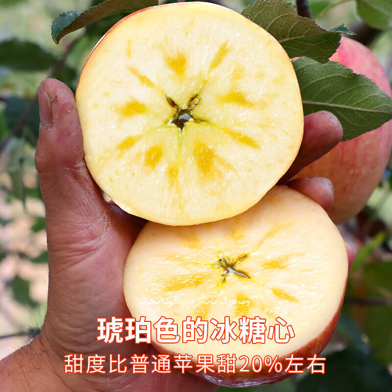 Jingdida Aksu Rock Candy Heart Apple Fruit Xinjiang Fuji Gift Gift Net Weight 8 Jin Single Fruit 190g + Direct Shipping from the Source