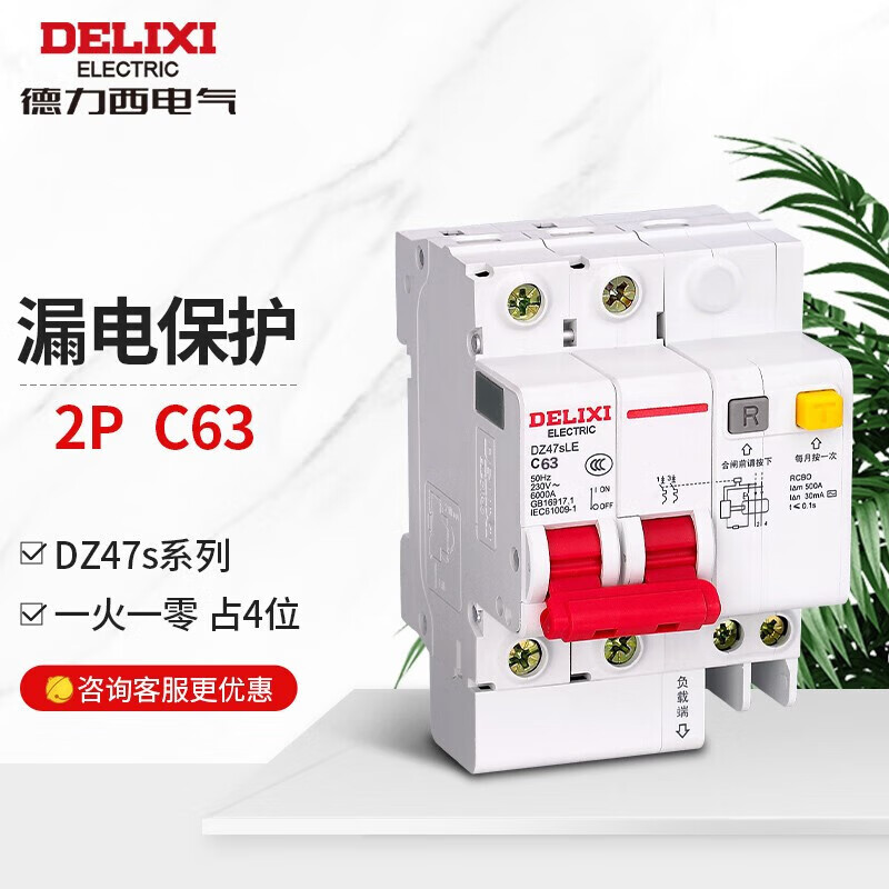 Delixi Electric air leakage protection circuit breaker leakage protection switch DZ47sLE 2P C 63A