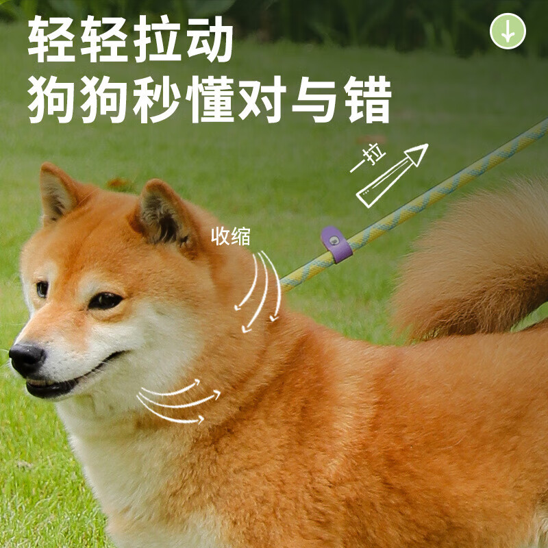 Bei Chuzhong pet training P rope dog leash dog rope dog walking belt small, medium and large dog P chain explosion-proof half P chain yellow green training and traction integrated S