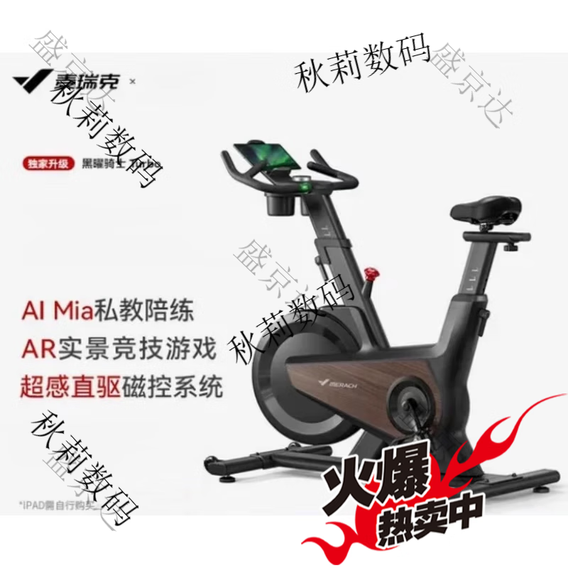 Merrick Obsidian Knight Turbo Dynamic Bike Home Model Sports Silent Fitness Equipment MR-S39 Black - Spontaneous