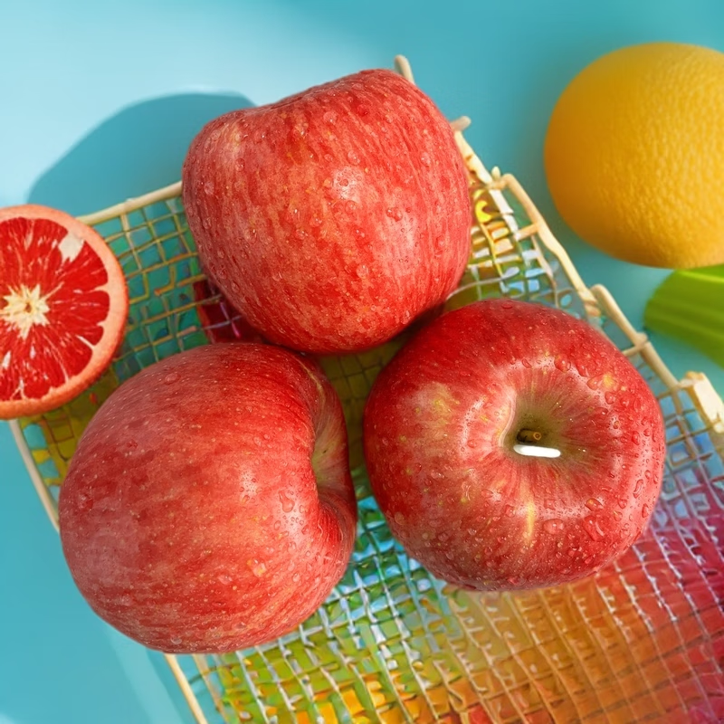 Luochuan Apple King Shopkeeper Shaanxi Luochuan Red Fuji Apple Crisp, Sweet and Fresh Whole Box Gift Box Seasonal 4.5 catties Medium Fruit 80-85mm