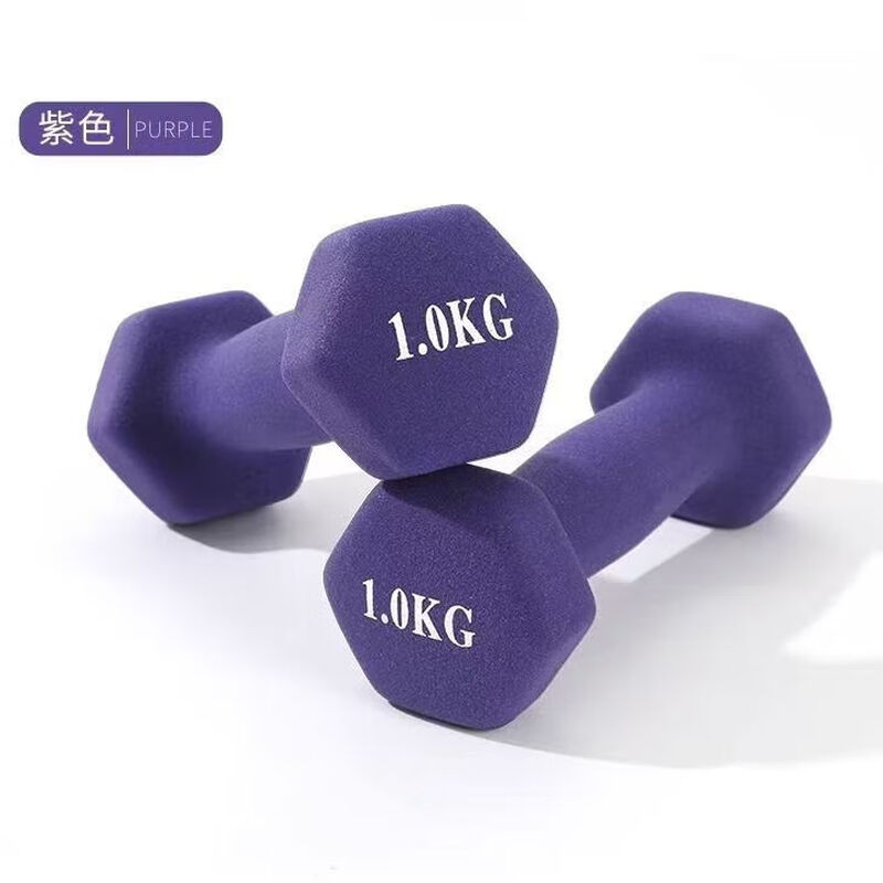 Plastic dipped dumbbell hexagonal dumbbell for women's home fitness slimming buttock training chest exercise training plastic dark purple 2.5KG *2 pieces