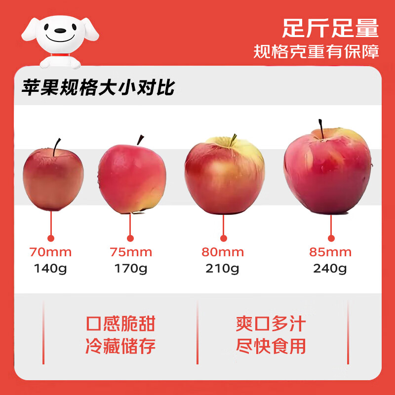 Jingxiansheng Yunnan Zhaotong Red General Apple, net weight 5 pounds, single fruit 80mm + fresh fruit, direct delivery from the source, free shipping