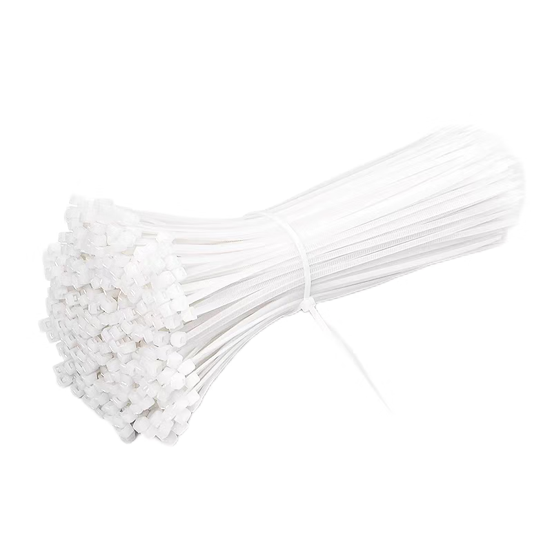 Youyijia national standard nylon cable ties package 3*100 (full width 2.5) 1000 pieces