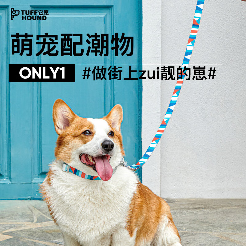 TUFF HOUND dog collar leash set small and medium-sized dogs adjustable dog leash sky blue S size