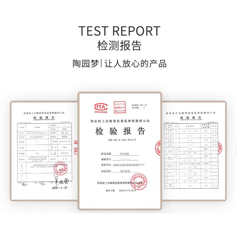 Tao Yuan Meng Blossoms Bowls and Plate Tableware Sets Light Luxury Household Tableware Gift Boxes