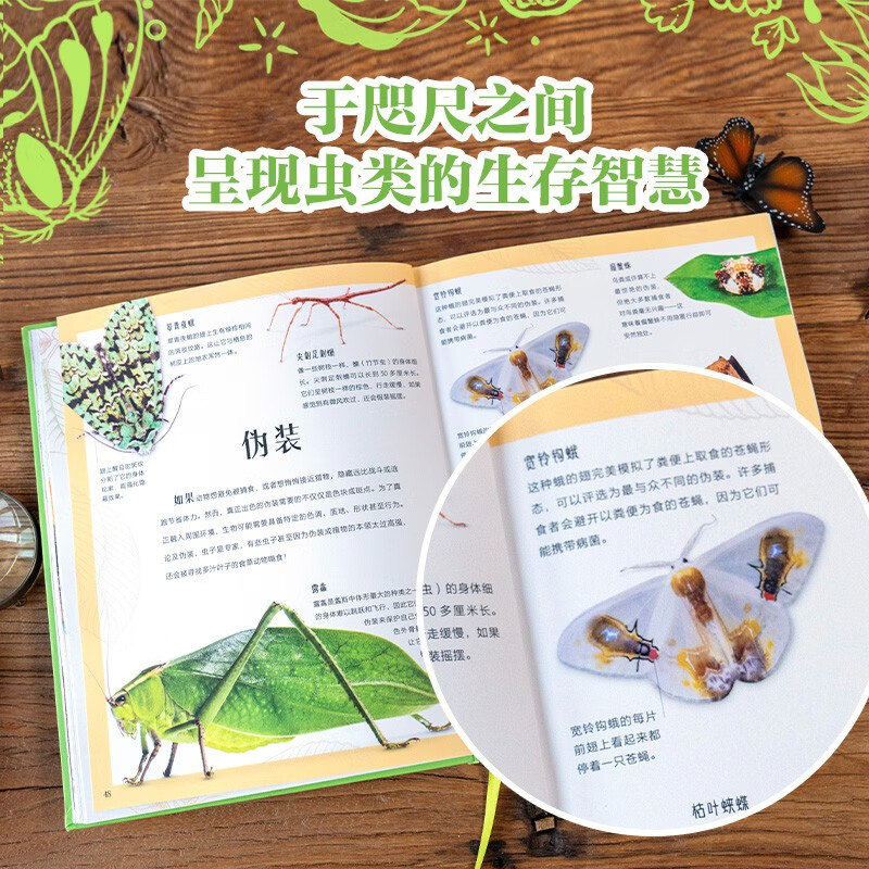 DK Collection Museum Series DK Extraordinary Insects by Jesse French 5 years old + children's popular science