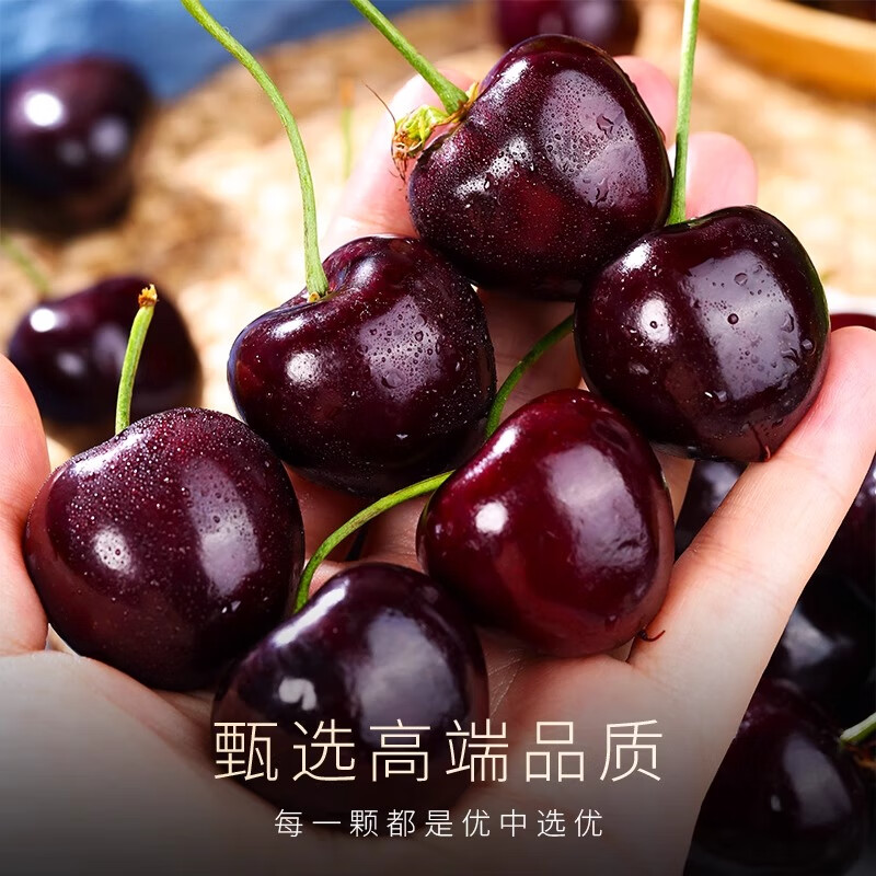 Tian Liangji Chile imported cherries JD next day delivery in many places 5kg fruit cherries gift box New Year's goods 2 catties (net weight) gift box more cost-effective Scarce Fruit King 5J 34mm+ carefully selected by local tycoons