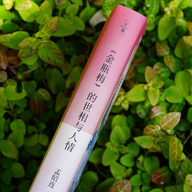 <Jin Ping Mei>'s world situation and human feelings