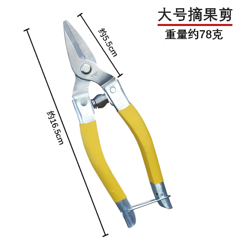 Zhewei stainless steel fruit scissors new fruit picking scissors citrus scissors vegetable and fruit scissors large fruit scissors round head fruit scissors large - yellow fruit scissors 6 inches