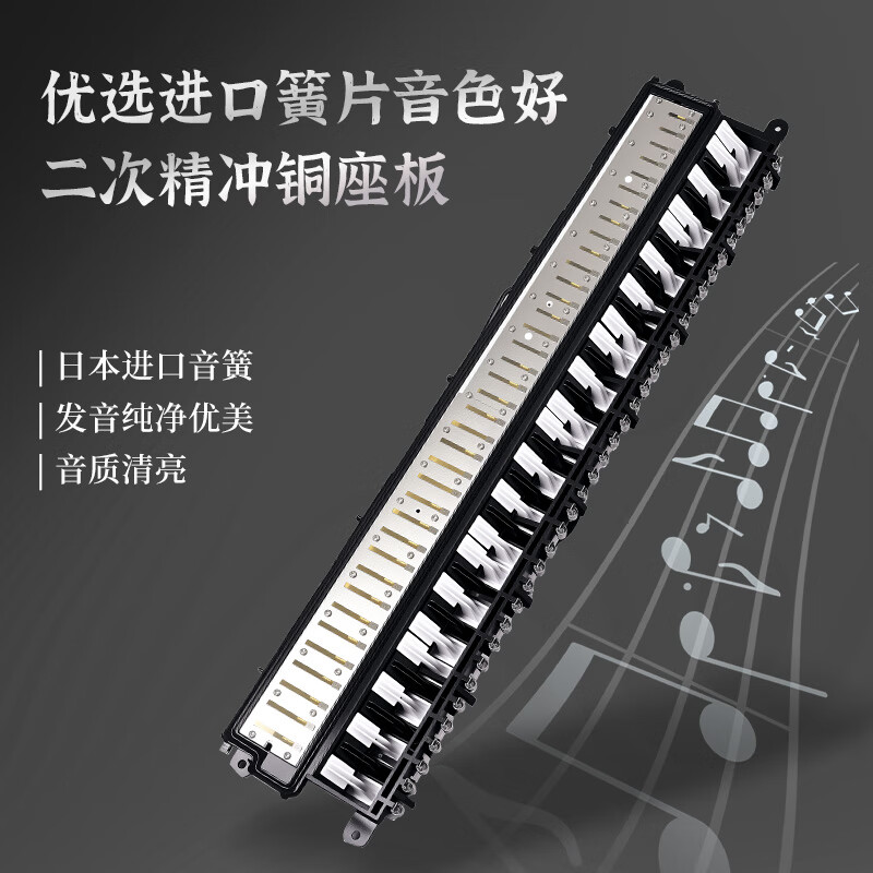 Chimei 37-key Teaching Recommendation Delvado Mouth Organ (Imported Gongs, Leather Soft Case, With Playing Instructions)