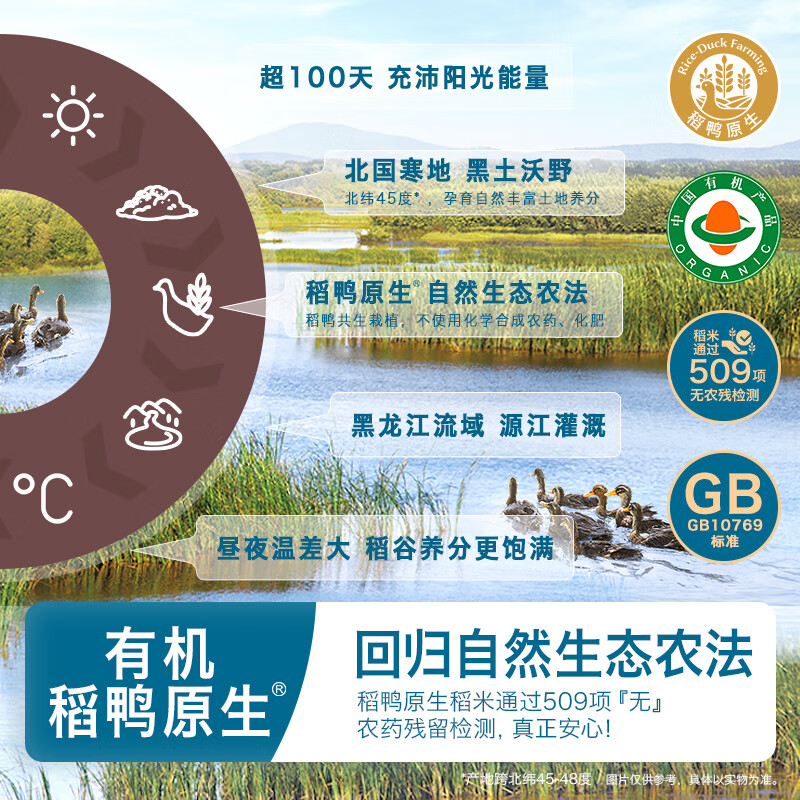 Heyangyang Organic Infant High Calcium Puff Bars Apple Flavor 32g Baby Snacks Rice Duck Native Hypoallergenic 6 Months+