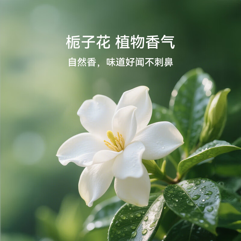 Homerun smart cat litter box deodorizing companion, suitable for Homerun 106L smart cat litter box deodorizing gel set (3 pieces/box)