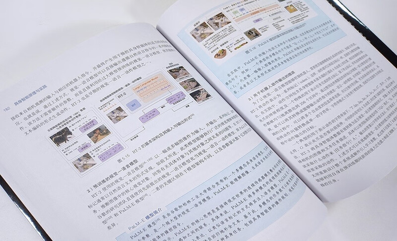 Principles and Practices of Embodied Intelligence (Full Color) AI agents enter the physical world, involving NeRF, 3DGS, imitation learning, VLA, VLN, Diffusion Policy, object pose estimation, world model, embodied large model, multi-agent interaction, and simulation platform operation