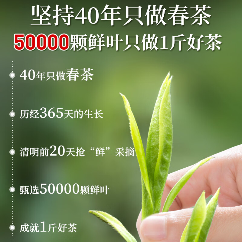 A cup of fragrant tea leaf green tea authentic Mingqian Longjing tea 250g 2025 new tea gift box gift for self-drinking tea