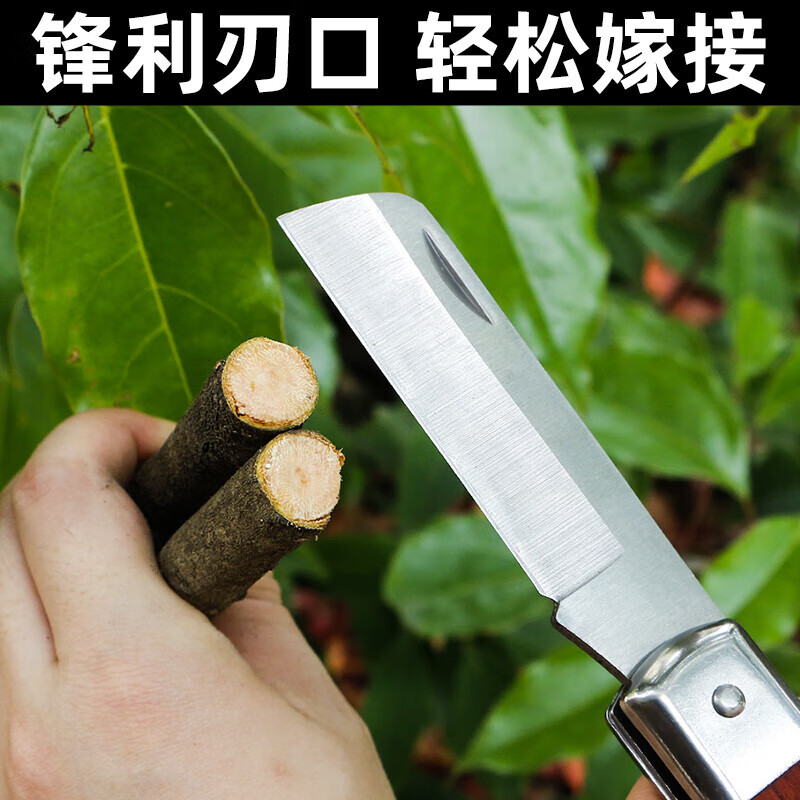 JCZS German quality foldable grafting special knife fruit tree film tool large tree grafting tree frame grafting manual knife + 3cm grafting straight grafting knife