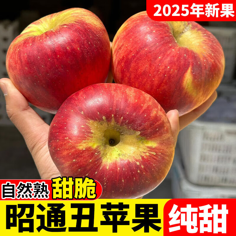 2025 Authentic Yunnan Zhaotong Rock Candy Apple Fresh Fruit Apple Seasonal Crisp Sweet Fruit Origin Straight Hair 9 Jin Pack Medium Fruit (70-80mm)