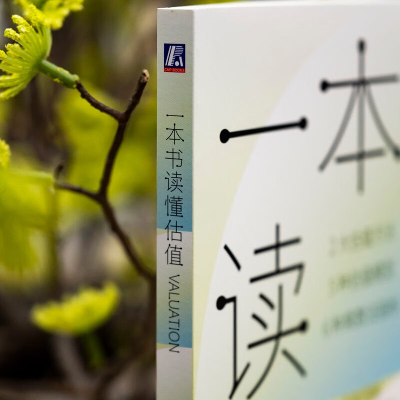 A book to understand valuation