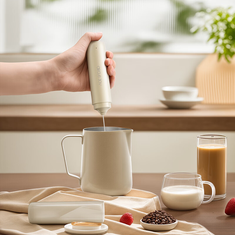 Circle Joy Electric Milk Frother Coffee Milk Frother Storage Household Milk Frother Rechargeable Mini Blender