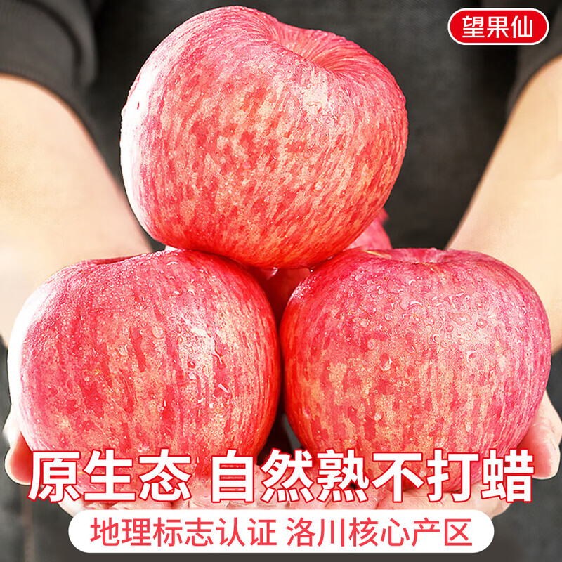 Jingdida Apple Fruit Luochuan Apple Red Fuji Fresh New Year Fruit Net Weight 8.5 Jin Single Fruit 85mm + Free Shipping from Source
