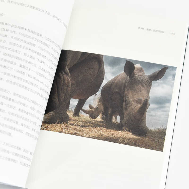 Thoughts on Photography 20 Key Questions to Improve Image Creation Ability Photography Books Photography Theory Thinking Lens Language Aesthetics Improving Photography Inspiration Produced by Photographers