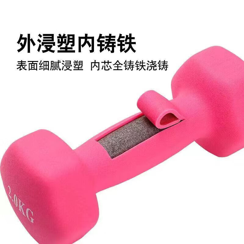 Plastic dipped dumbbell hexagonal dumbbell for women's home fitness slimming buttock training chest exercise training plastic dark purple 2.5KG *2 pieces