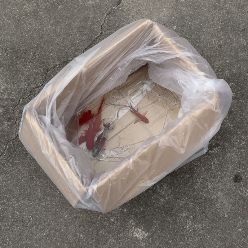 MPPMCK large plastic flat bag moisture-proof dust-proof bag sofa furniture packaging bag PE bag straight film bag low pressure 180*220cm (50 pieces) double-sided 2 points 5 wire