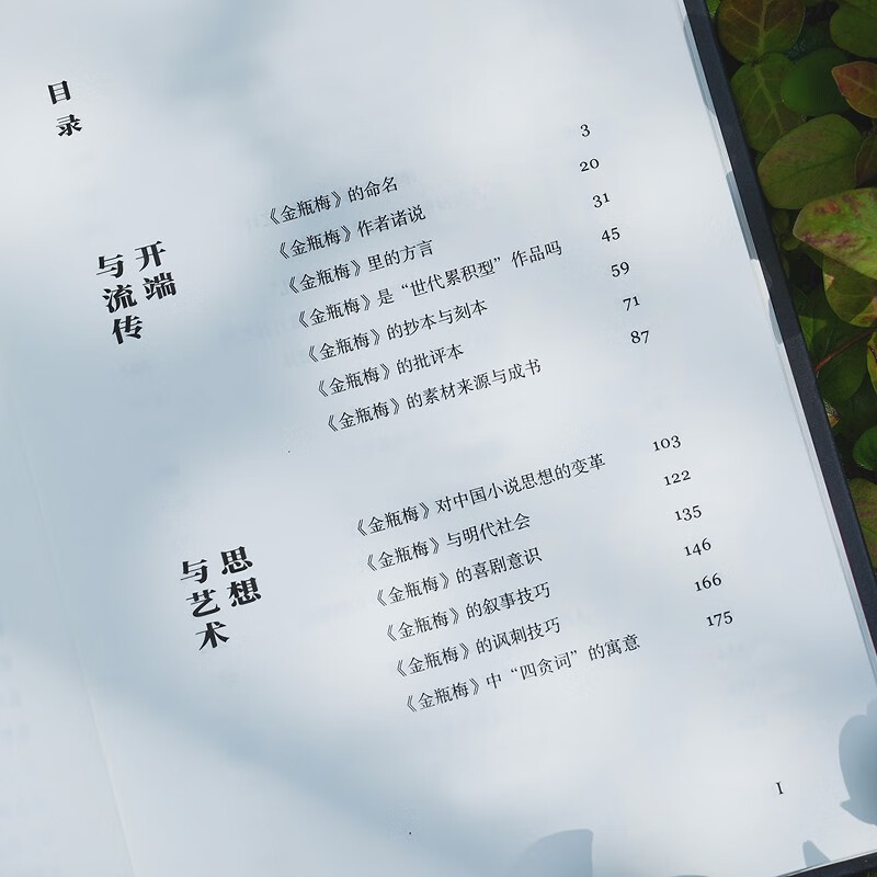 <Jin Ping Mei>'s world situation and human feelings