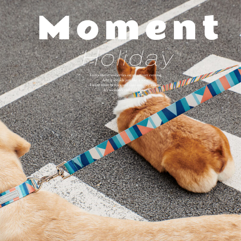 TUFF HOUND dog collar leash set small and medium-sized dogs adjustable dog leash sky blue S size