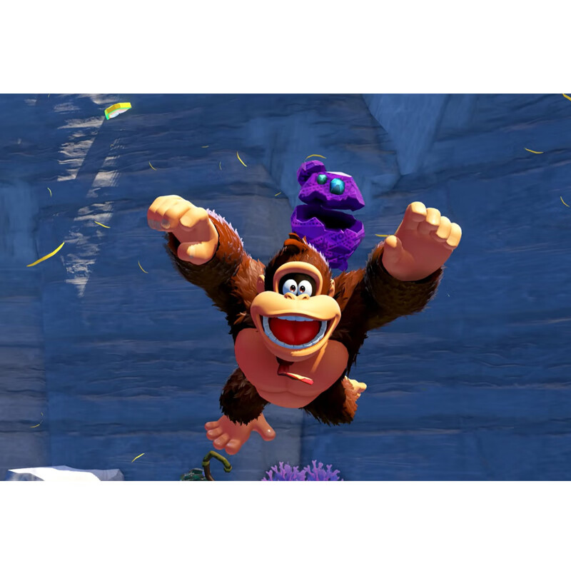 Nintendo's new Switch2 game software NS2 overseas version of the game physical cartridge, only for Switch2 generation NS2 Dongqigang Jiaoli fully open (Chinese)