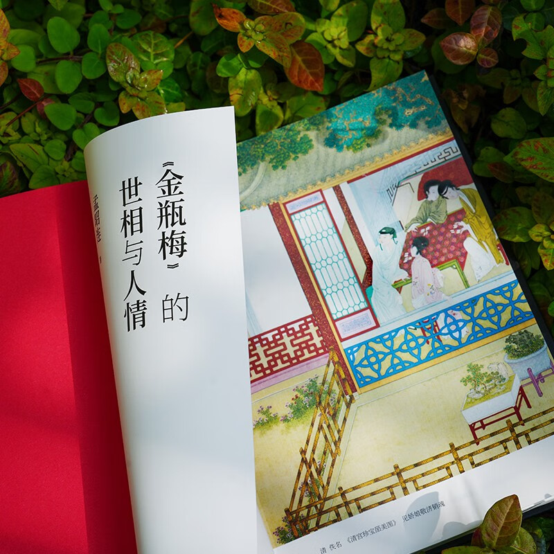 <Jin Ping Mei>'s world situation and human feelings