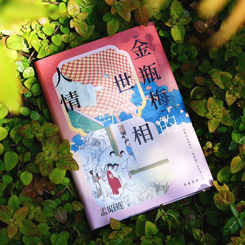 <Jin Ping Mei>'s world situation and human feelings