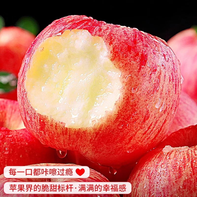 Jingdida Apple Fruit Luochuan Apple Red Fuji Fresh New Year Fruit Net Weight 8.5 Jin Single Fruit 85mm + Free Shipping from Source