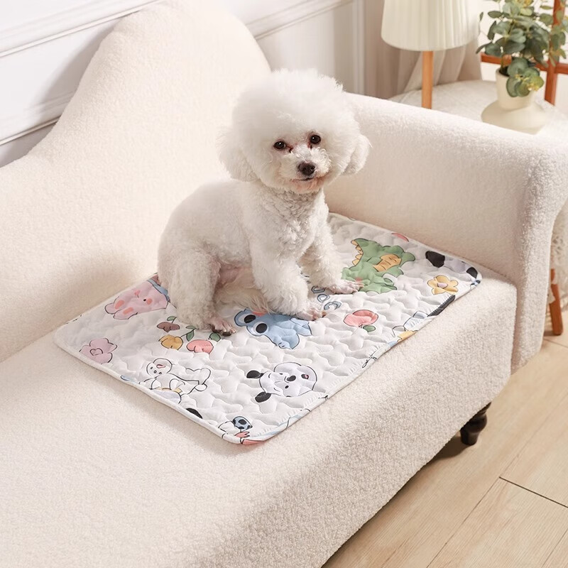 Juke dog mat, pet sleeping mat, pet floor mat, small rug, waterproof and urine-proof cat rug for all seasons, colorful world 50cm*70cm