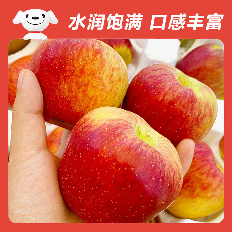 Jingxiansheng Yunnan Zhaotong Red General Apple, net weight 5 pounds, single fruit 80mm + fresh fruit, direct delivery from the source, free shipping