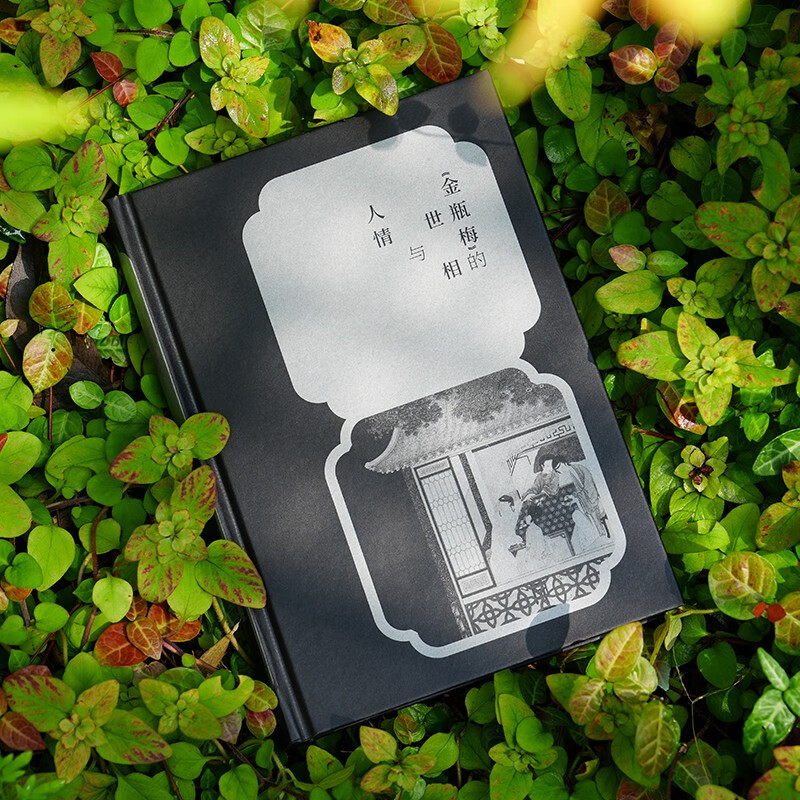 <Jin Ping Mei>'s world situation and human feelings