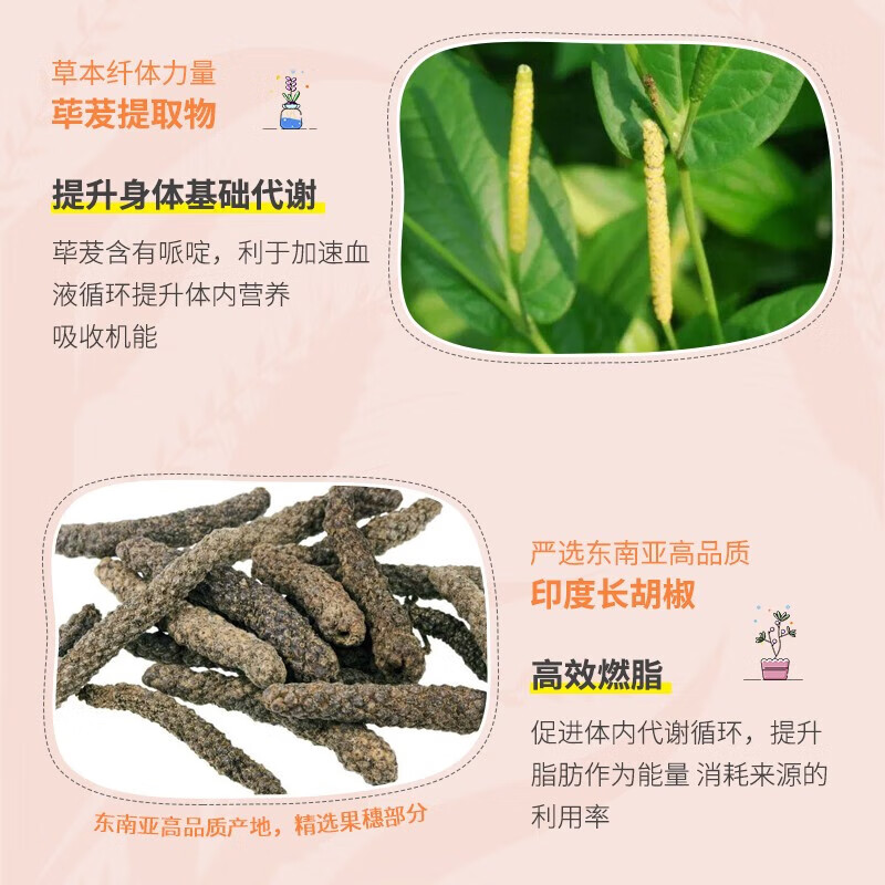 SVELTY 3 times decomposing yeast Japanese enzyme anti-glucose and weight loss carbohydrate blocker and water-blocking pills black ginger slimming pills 150 capsules/box