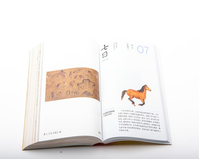 Slightly Flawed Forbidden City Calendar Youth Edition 2026 Horse to Success