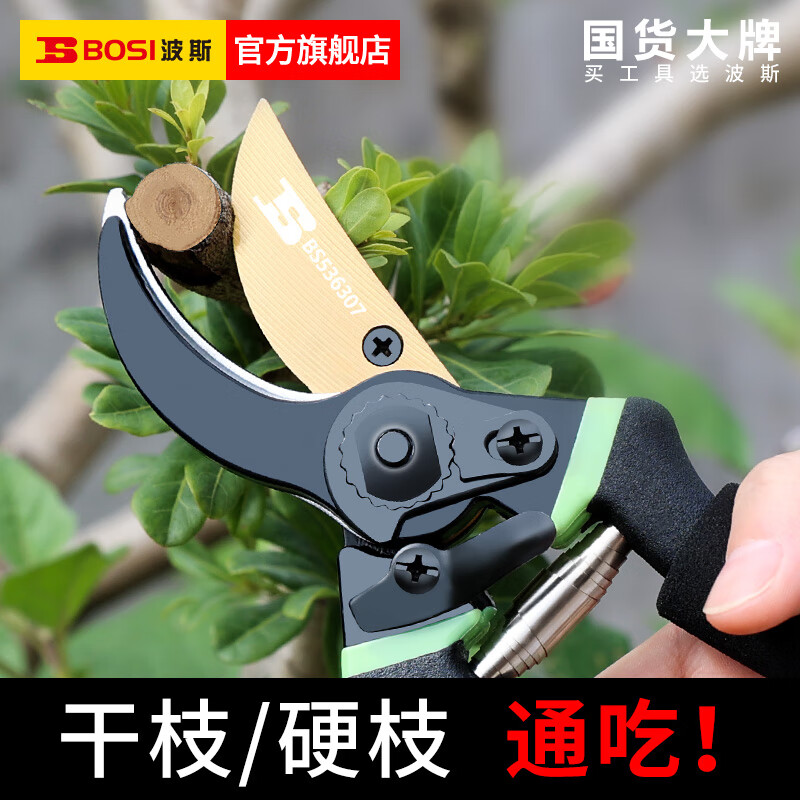 Persian pruning shears, gardening scissors, special scissors for cutting branches, garden pruning, fruit tree pruning, flower pruning scissors, plastic handle scissors (do not cut branches)