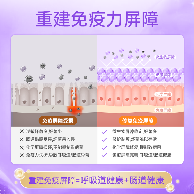 Lan Knight probiotics for infants and young children soothing nose, anti-allergic and good nose 2-box set