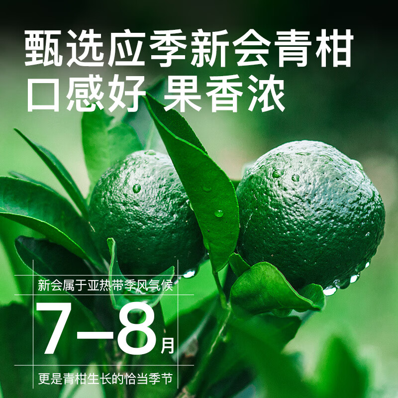 First Banquet Xinhui Xiaoqinggan Pu'er Tea Ripe Tea Raw Sun-dried Orange Peel Pu'er Tea Gift Box for Elders New Year's Gift Box 500g