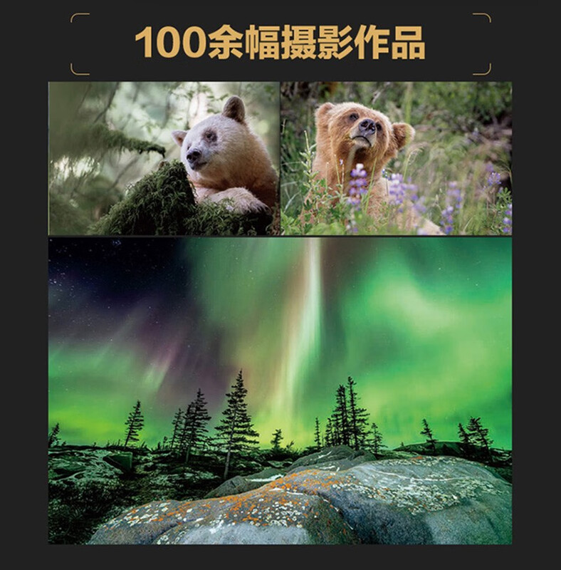 Thoughts on Photography 20 Key Questions to Improve Image Creation Ability Photography Books Photography Theory Thinking Lens Language Aesthetics Improving Photography Inspiration Produced by Photographers