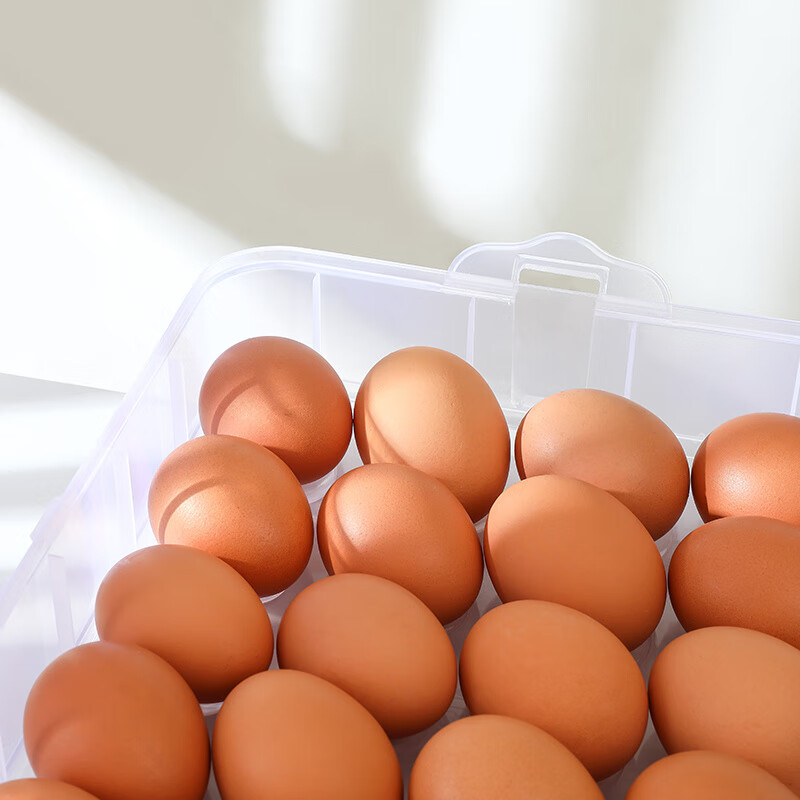 An Junsheng portable egg box refrigerator egg storage box egg tray food preservation box storage box with lid for egg boxes pink (excluding eggs) enhanced double-breasted 2 layers 1 cover 48 compartments