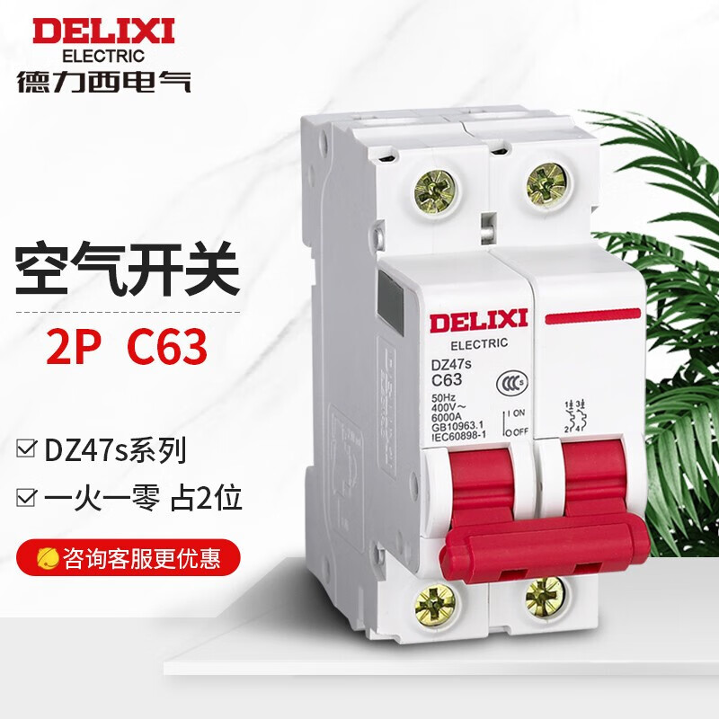 Delixi Electric Air Switch Circuit Breaker Household Air Switch DZ47s 2P C 63A