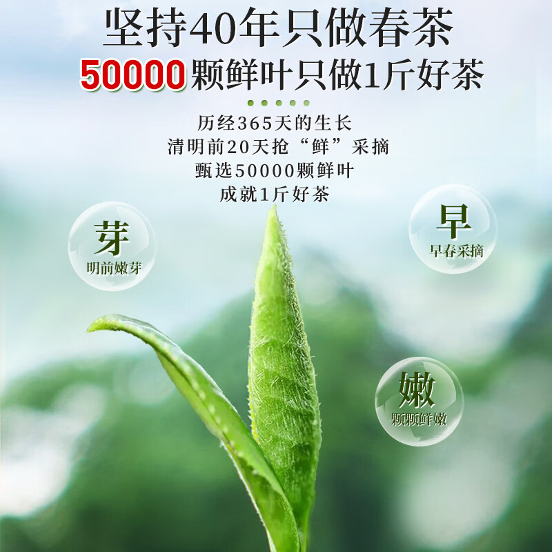 A cup of fragrant tea leaf green tea Mingqian Biluochun 250g 2025 new tea gift box gift for self-drinking tea bag