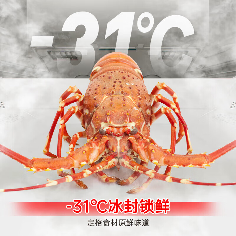 Rongsheng Cube Sugar 515L French-style multi-door refrigerator dual system ultra-thin zero-embedded automatic ice making first-class energy efficiency white BCD-515P60FZNAD National Subsidy World Cup BCD-515P60FZNAD Weaver Gray